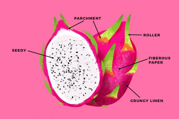 Interactive Graphics for Social Media - Image 4